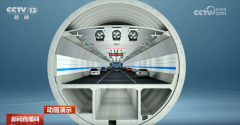 无效降低险 