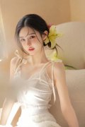 沪528亿元